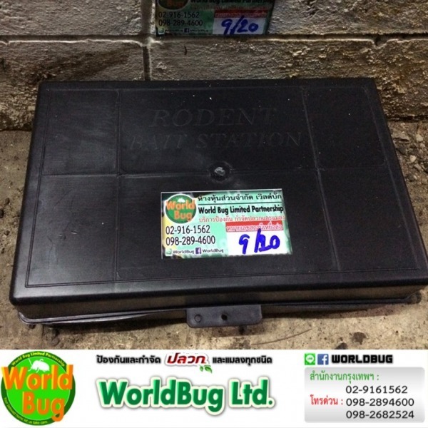 บริษัทกำจัดปลวกใกล้ฉัน ราคาถูก