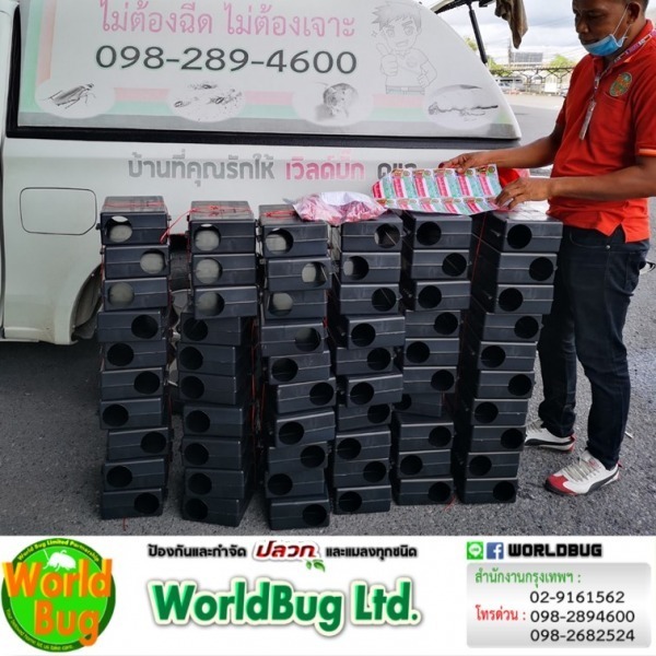 บริษัทรับกำจัดหนูนนทบุรี